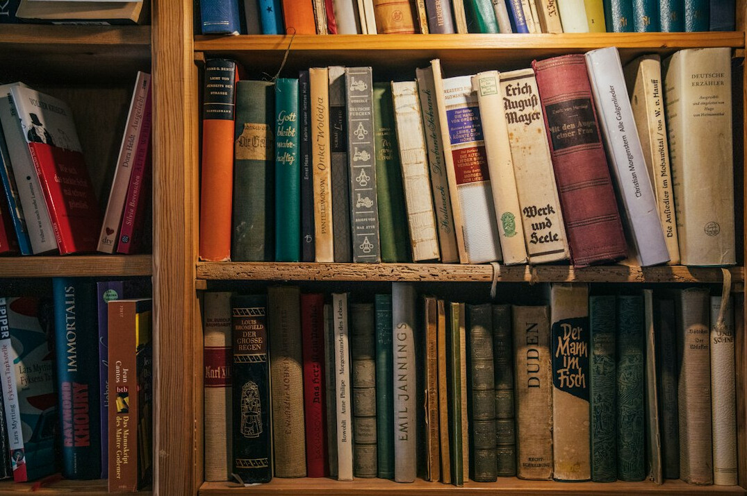 bookshelf with mystery novels