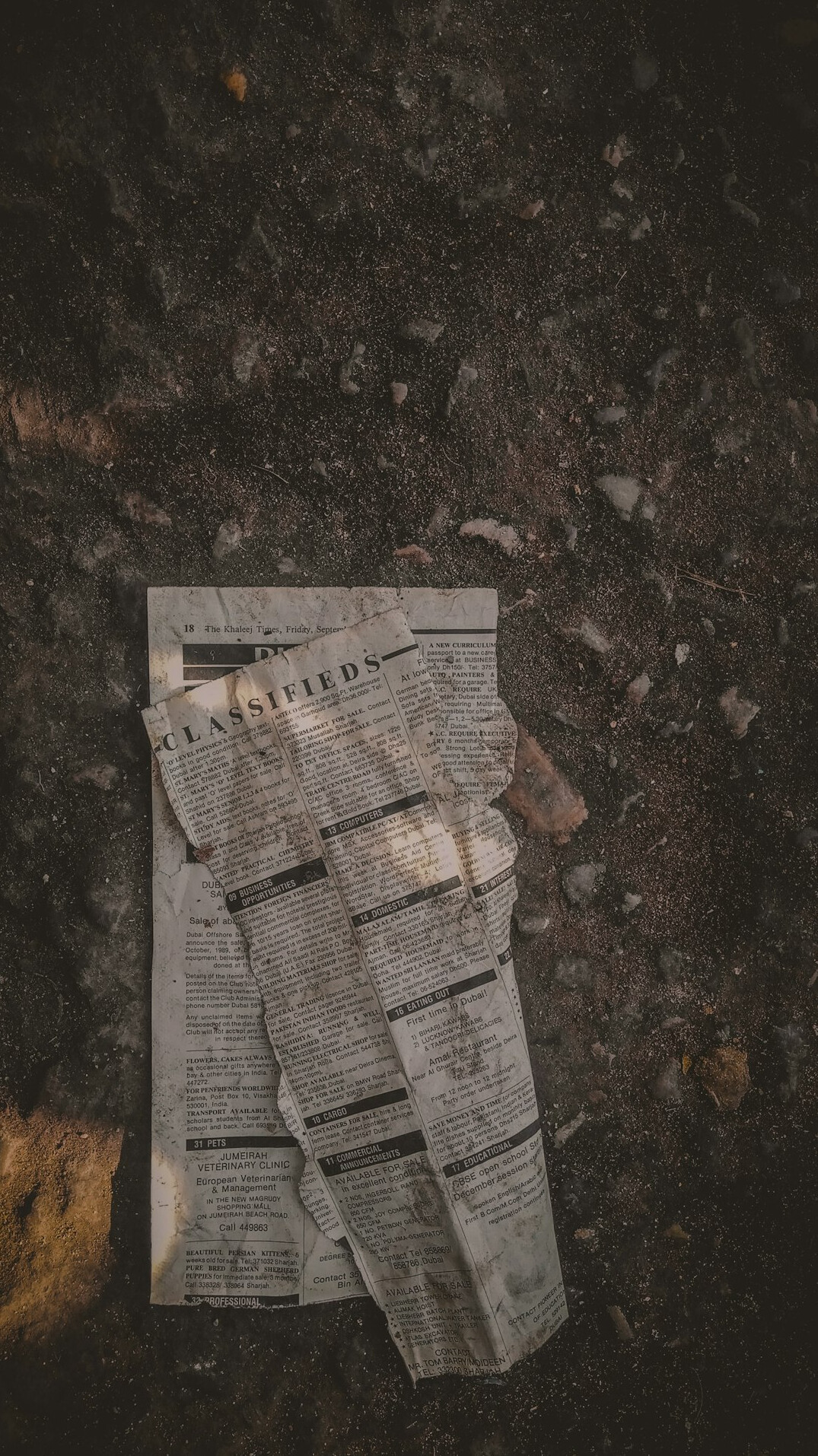 old newspaper crime report