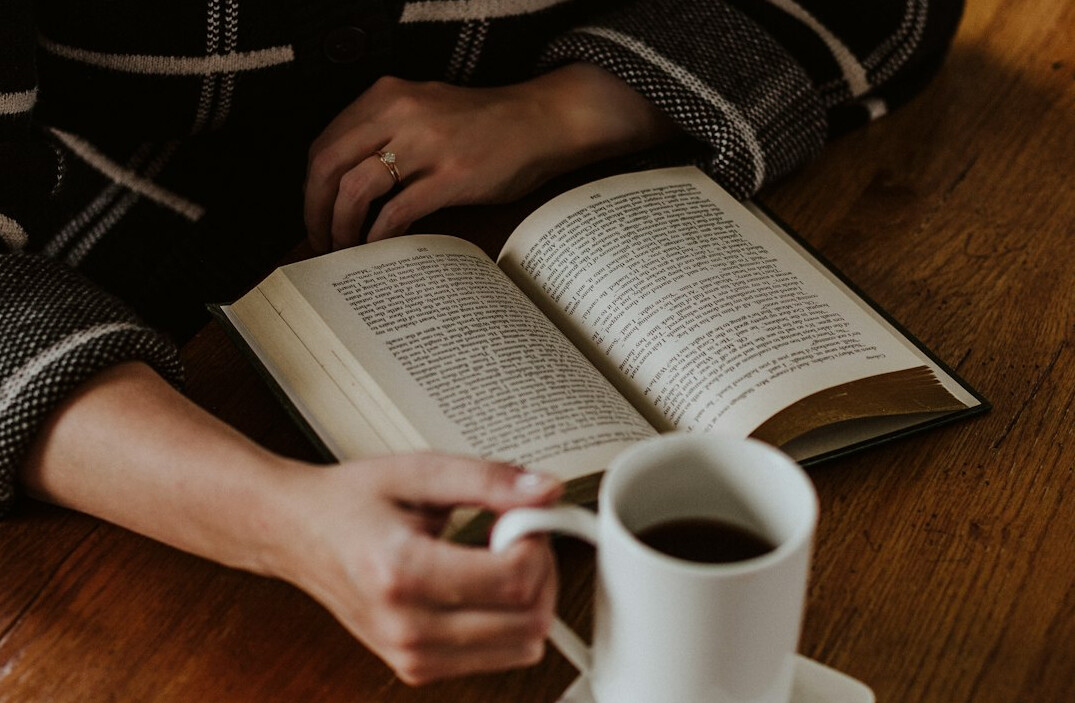 person reading thriller book